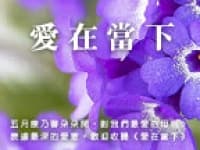 愛在當下
