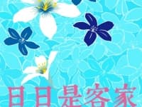 日日是客家
