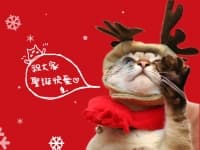 《單元》屬天之愛 聖誕節故事